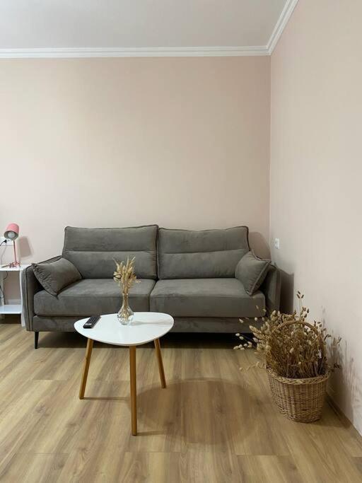 Mimosa'S Apartment With Lovely Balcony Tirana Bagian luar foto